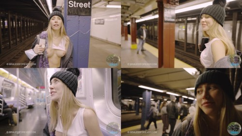 Shan_-_Shan_Takes_the_Subway.jpeg