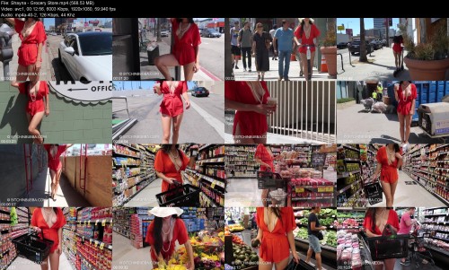 Shayna_-_Grocery_Store689329dcac35e71f.jpeg