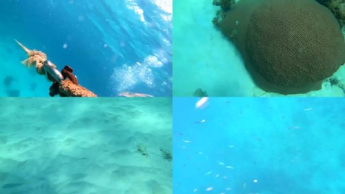 FIRST-TIME-SCUBA-DIVING-IN-PATAYYA-SD.jpeg