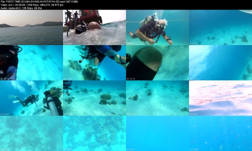 FIRST-TIME-SCUBA-DIVING-IN-PATAYYA-SDe833343e5b93f4db.jpeg