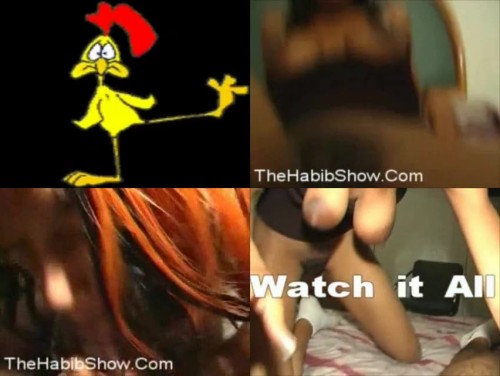 PREVIEW-Chi-Town-Chicken-Head-SD.jpeg