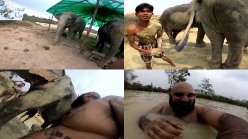 THAILANDS-ELEPHANT-SANCTUARY-SD.jpeg
