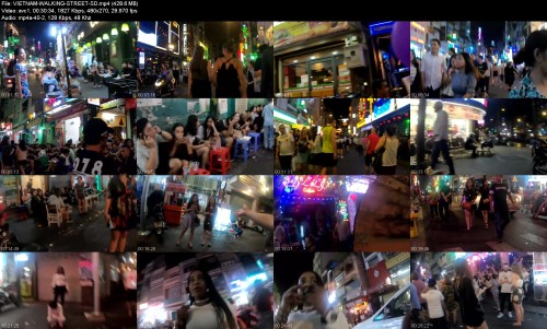 VIETNAM-WALKING-STREET-SDf7cfb3397fe47517.jpeg