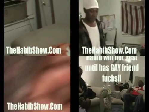 the-Habib-Springer-Show-FULL-VIDEO-SD.jpeg